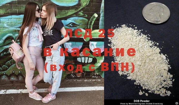 прущие грибы Бугульма