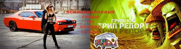 бутик Богородицк